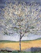 Ferdinand Hodler Cherry tree in bloom Germany oil painting artist